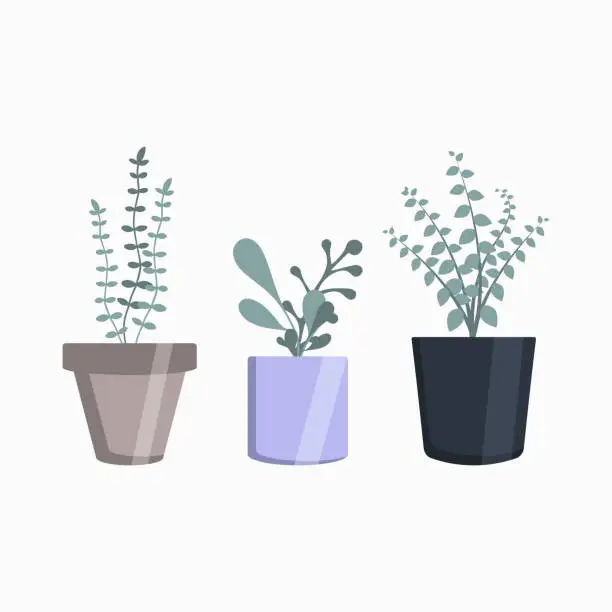 Vector illustration of Set of potted indoor plants on a white background