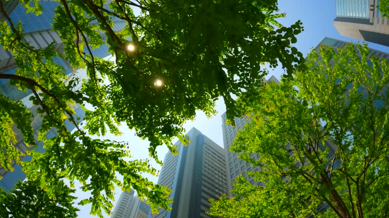 Modern office building visible through the fresh green trees