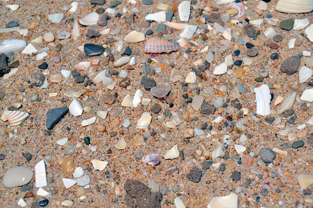 istock Ground of the beach 180768112
