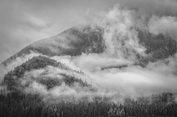 istock Fog & Clouds On Queen Charlotte Islands #7 180768137