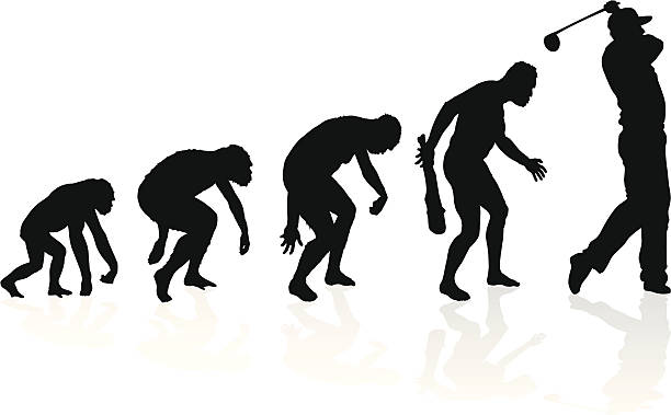 Evolution of a Golf Player Vector illustration of depicting the evolution of a male from ape to man to Golf player in silhouette. Hi-res Jpeg, PNG and PDF files included. golf silhouettes stock illustrations