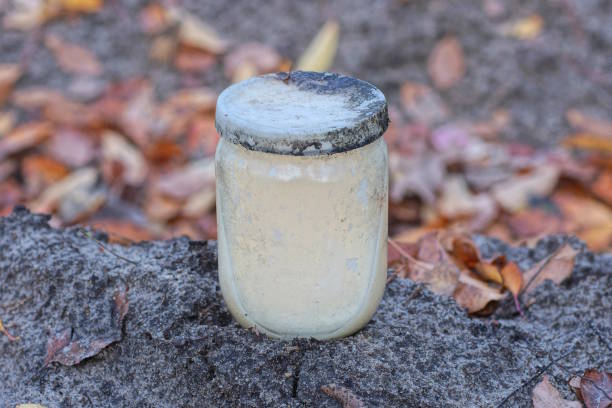 Free picture: poison, rodent, jar, danger, close-up, dry, upclose, old ...