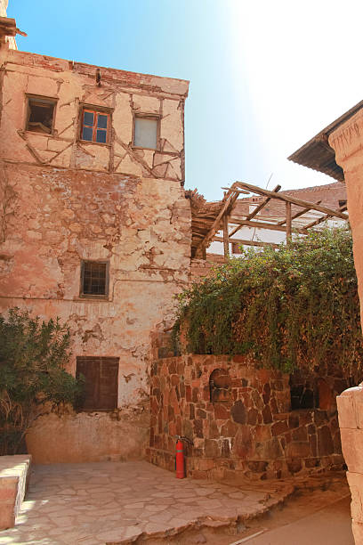 st catherine's monastery Moses' burning bush at the Monastery of St Catherine in Egypt winged spindletree stock pictures, royalty-free photos & images