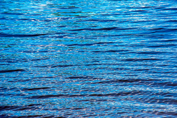 istock Water ripple texture background. Wavy water surface during sunset, golden light reflecting in the water. 1807718597