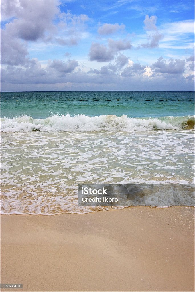 Tropicali a playa del carmen in Messico - Foto stock royalty-free di Acqua