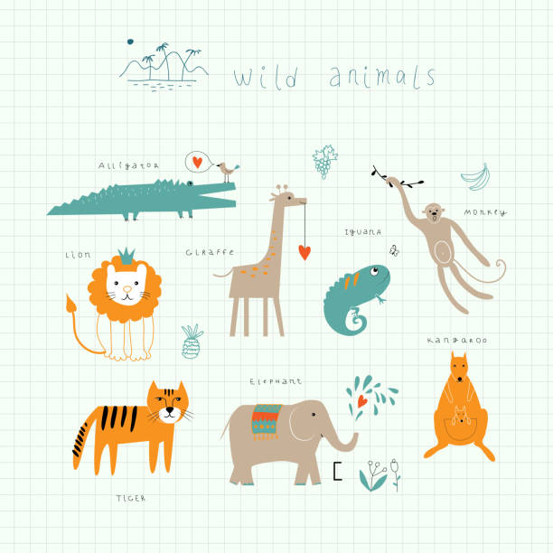 ilustraciones, imágenes clip art, dibujos animados e iconos de stock de vida silvestre - kangaroo animal humor fun