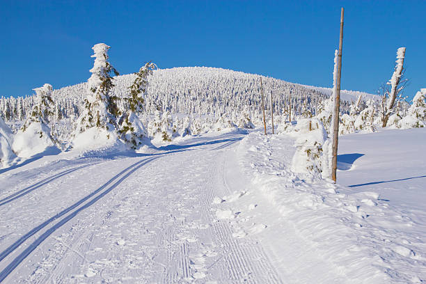 зимний пейзаж пейзаж с лыжах way - mono ski стоковые фото и изображения