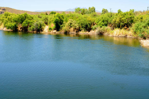 istock Salt River Recreation Area Arizona 1807726712