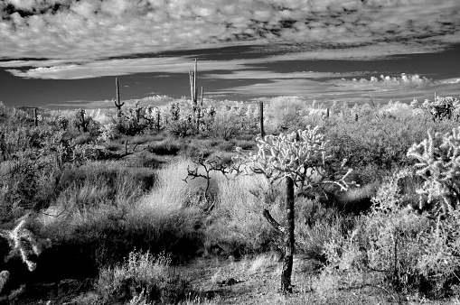 Infrared black and white image of storm clouds forming Sonora desert in central Arizona USA