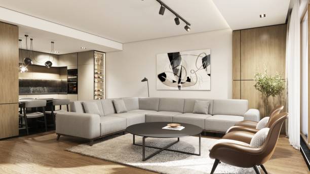 istock Modern Elegant Living Room 1807730836