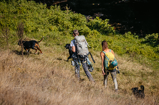 Young couple climbing a mountain with their dogs.