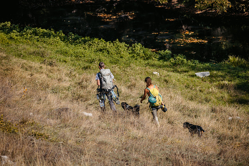 Young couple climbing a mountain with their dogs.
