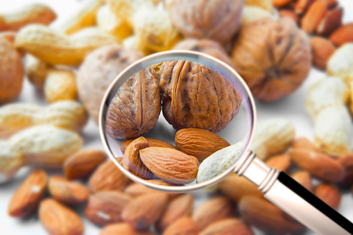 Quality control about dried fruit- HACCP (Hazard Analyses and Critical Control Points) concept image with peanuts, walnuts and almonds seen through a magnifying glass.
