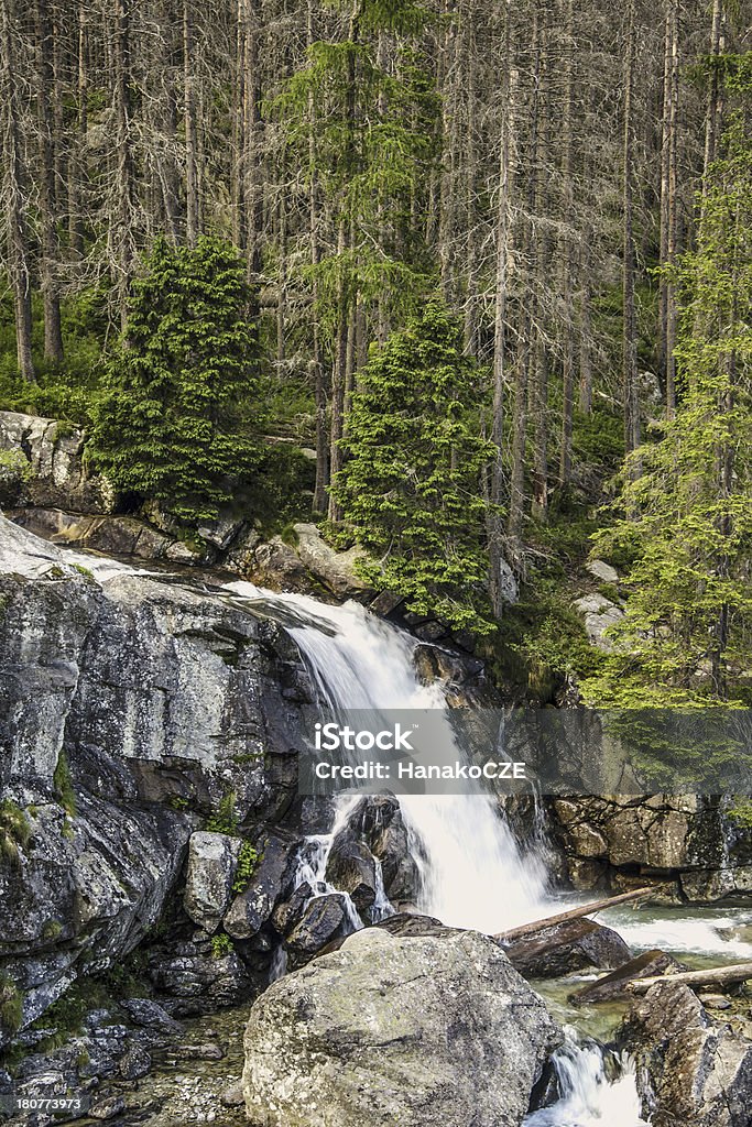 Cascades en Slovaquie montagnes - Photo de Slovaquie libre de droits