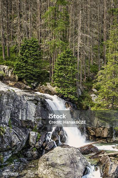 Photo libre de droit de Cascades En Slovaquie Montagnes banque d'images et plus d'images libres de droit de Slovaquie - Slovaquie, Beauté de la nature, Cascade