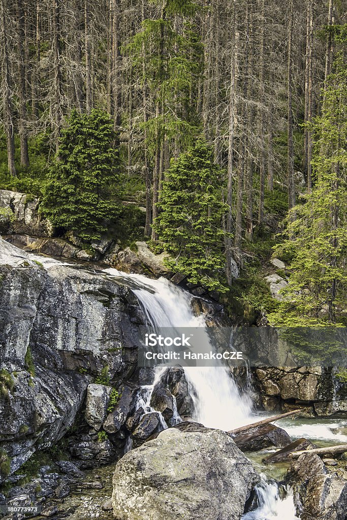 Cascate in Slovacchia montagna - Foto stock royalty-free di Slovacchia