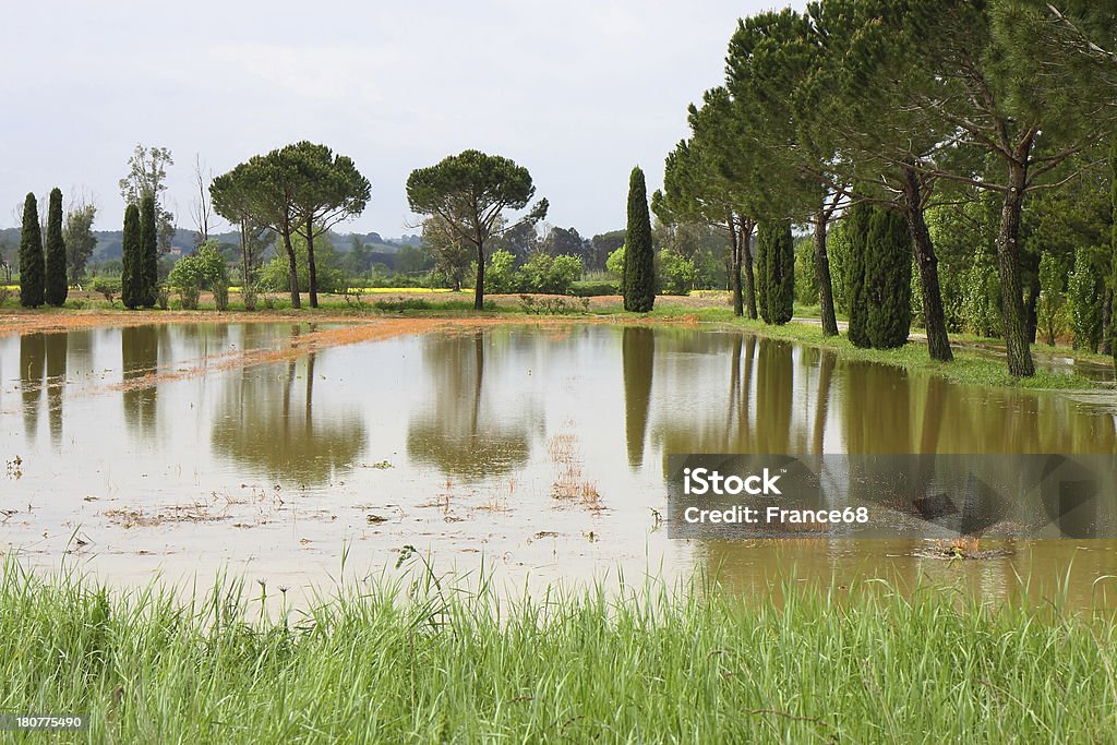 Allagato campi - Foto stock royalty-free di Acqua