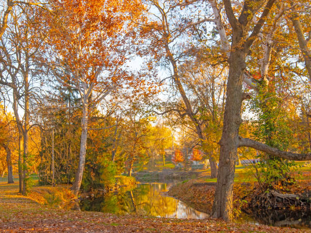 istock Fall leaf color reflected in a small stream- Howard County, Indiana 1807761743