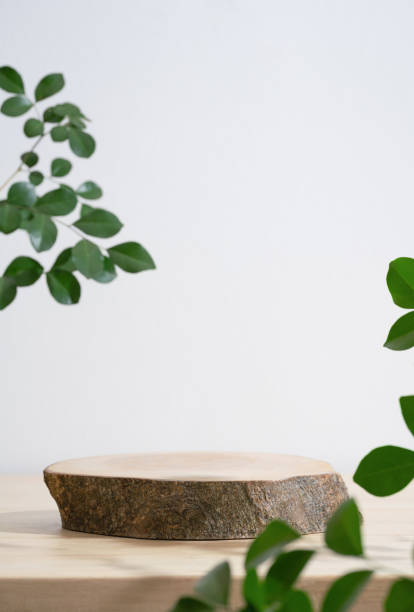 istock Wooden podium table top blurred green leaf plant on white empty space nature background.Beauty cosmetic natural product modern stage display. 1807765470