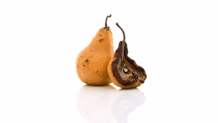 Time lapse of rotting pear on white background, reverse loop video, educational video,