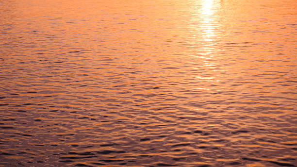 istock Beautiful golden sunlight reflection on river surface in morning sunrise time 1807770276