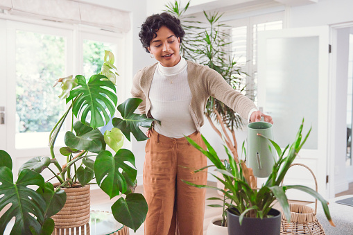 Embracing a 'Green Thumb Lifestyle,' a young woman lovingly tends to her houseplants, creating a serene haven within her home. This snapshot captures her nurturing spirit as she cultivates a harmonious space, where the vibrant greenery intertwines with a sense of tranquility, fostering an oasis of natural beauty indoors