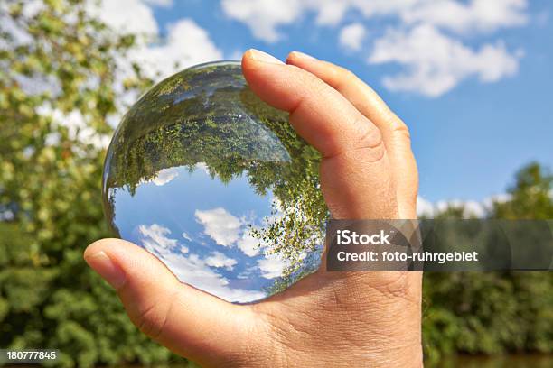 Glass Ball Stock Photo - Download Image Now - Abstract, Branch - Plant Part, Bush