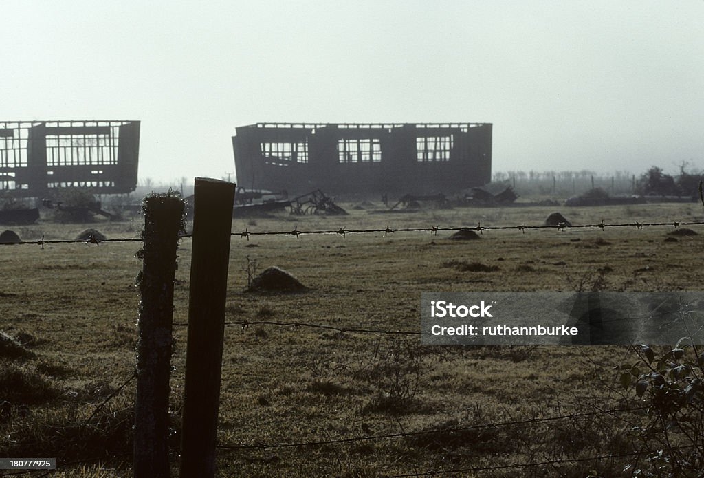 Farming and harvesting sugar cane in Louisiana, USA. 1980-1989 Stock Photo