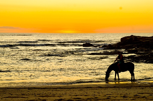 A young woman with her horse at sunset