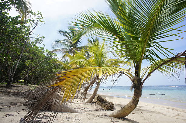 istock Impressions from Costa Rica 180778429