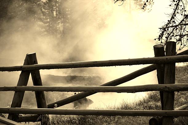 Misty creek. stock photo