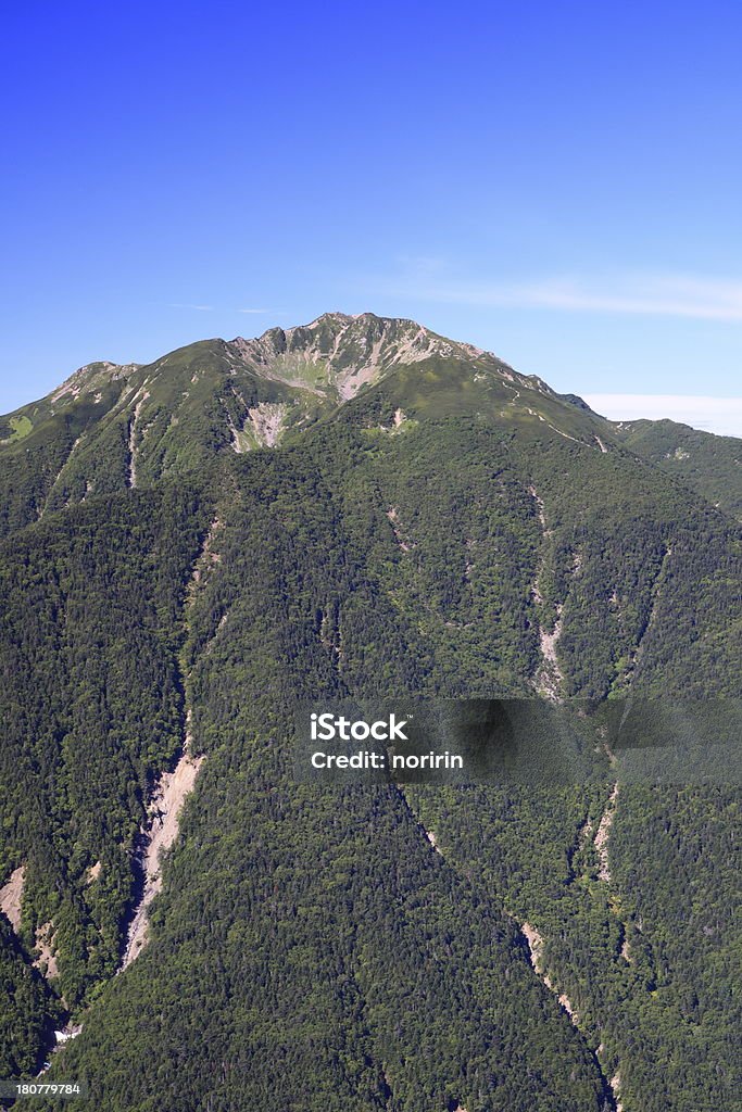 Giapponese Alpi Mt. Senjougatake - Foto stock royalty-free di Albero