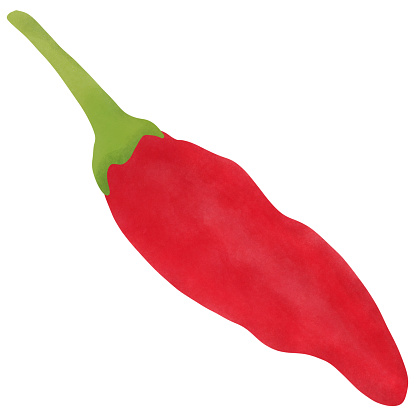 Tabasco pepper, illustration design.
