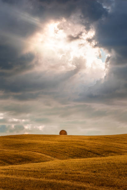 Minimalist image from Tuscan countryside