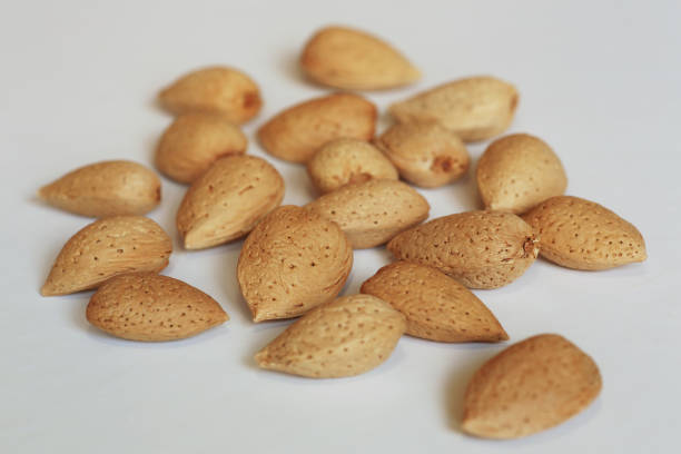 Almond Nuts - fotografia de stock