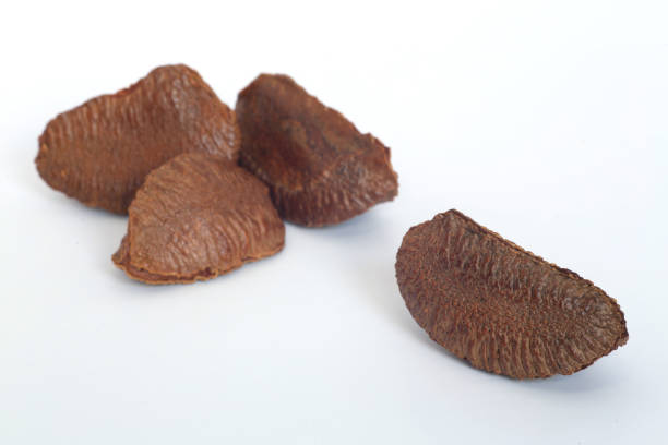 Brazil Nuts - fotografia de stock