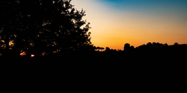 After the sun sets over Tuscan vineyards, Italy. The dark areas are pure black.
