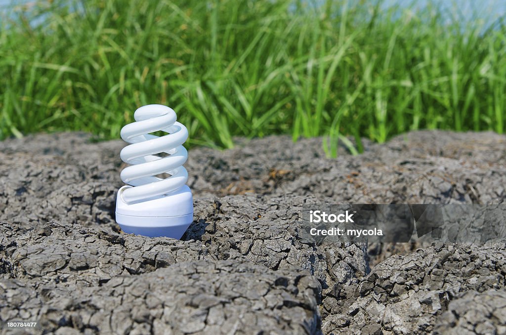 white eco bulb on cracked earth with green grass Creativity Stock Photo