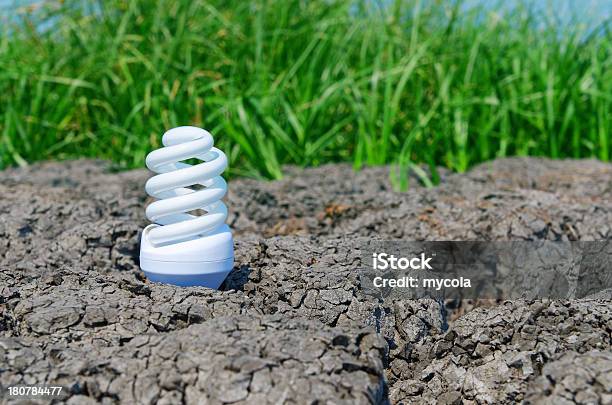 White Eco Bulb On Cracked Earth With Green Grass Stock Photo - Download Image Now - Creativity, Dirt, Efficiency