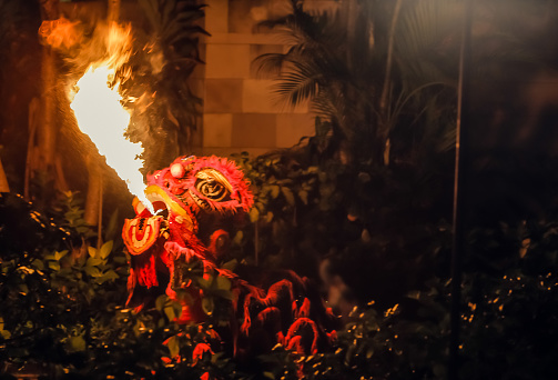Celebrating 2024 Chinese New Year- the year of Dragon. The fiery dragon spews flame and fire during show or party