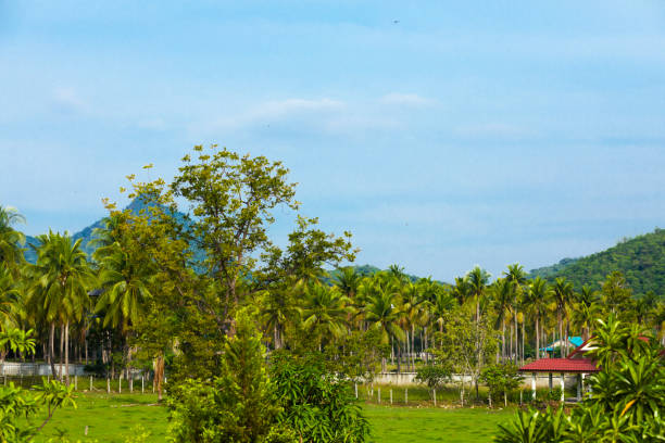 istock Landscape near Sam Roi Yot beach 1807863246