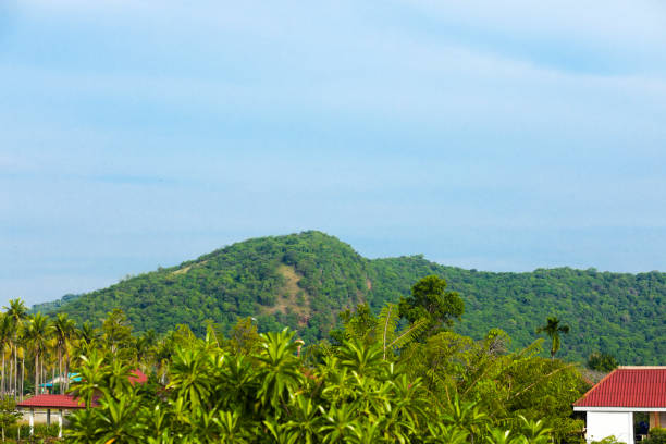 istock Hinterland of Sam Roi Yot beach in Prachuap Kiri Khan 1807863386