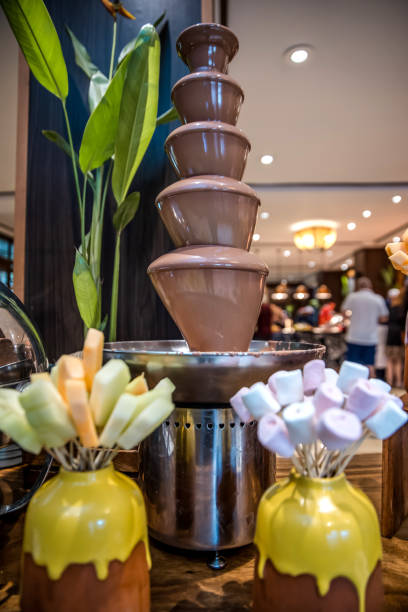 chocolate fondue fountain with fresh tropical fruits and marshmallow on sticks displayed in candy bar in buffet for wedding, birthday or other event - wedding reception fountain chocolate candy wedding imagens e fotografias de stock