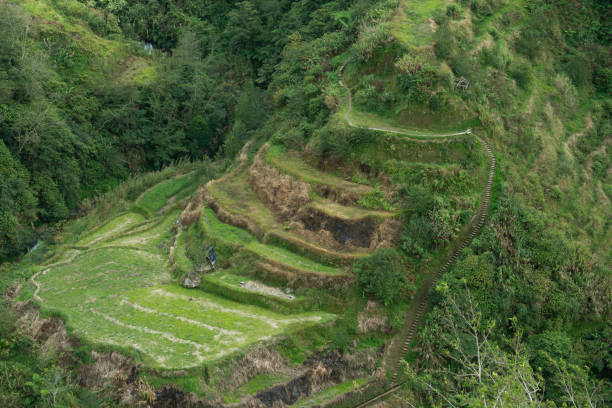 istock Rice terraces of Batad, Philipinnes 1807894395