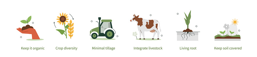 Regenerative agriculture and holistic management concept illustration. Collection of sustainable farming techniques to protect health and vitality of farm soil. Vector illustrations set.