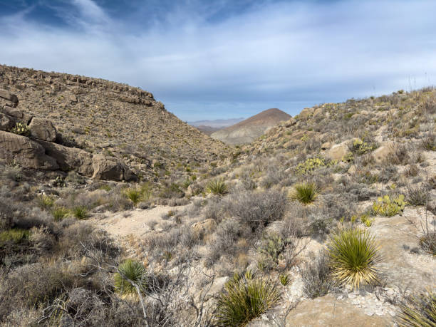 istock Thin Clouds Hang Over Telephone Canyon Trail In Big Bend 1807911232