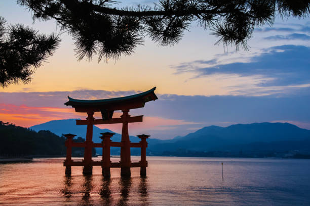 Japanese traditional red Torii gate shrine standing in the river of Itsukushima Miyajima Island, Japan - October 29. 2009: Japanese traditional red Torii gate shrine standing in the river of Itsukushima at sunset time, Miyajima Island shrine stock pictures, royalty-free photos & images