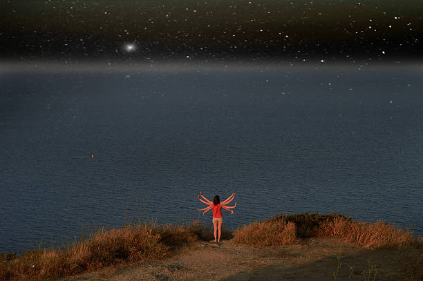 istock Fly away in the starry sky 180794425