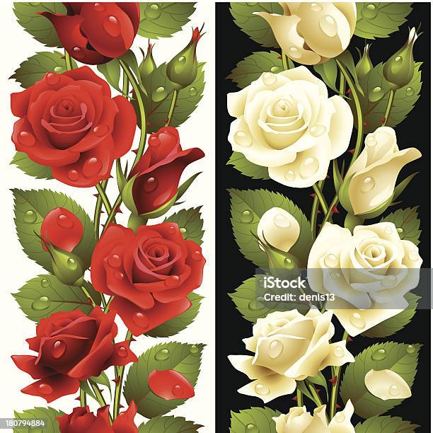Vektorrote Und Weiße Rose Vertikale Nahtlose Muster Stock Vektor Art und mehr Bilder von Blume