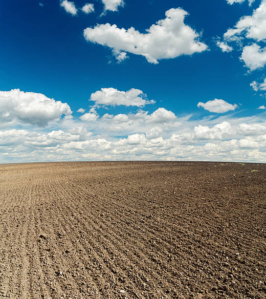istock black field after harvesting and blue cloudy sky 180795055